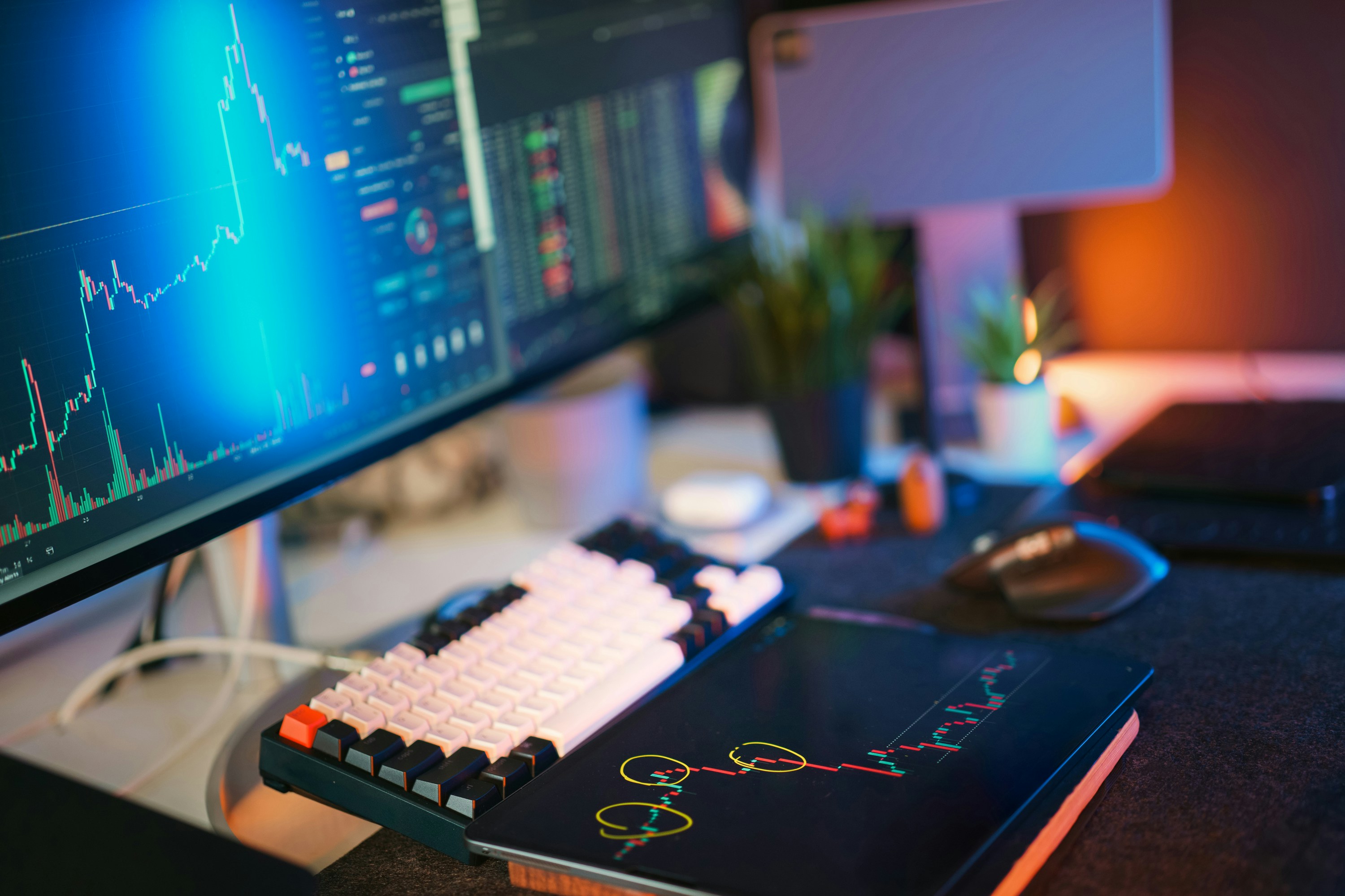 Best Altcoins to Watch in 2026 Top Cryptocurrencies Beyond Bitcoin