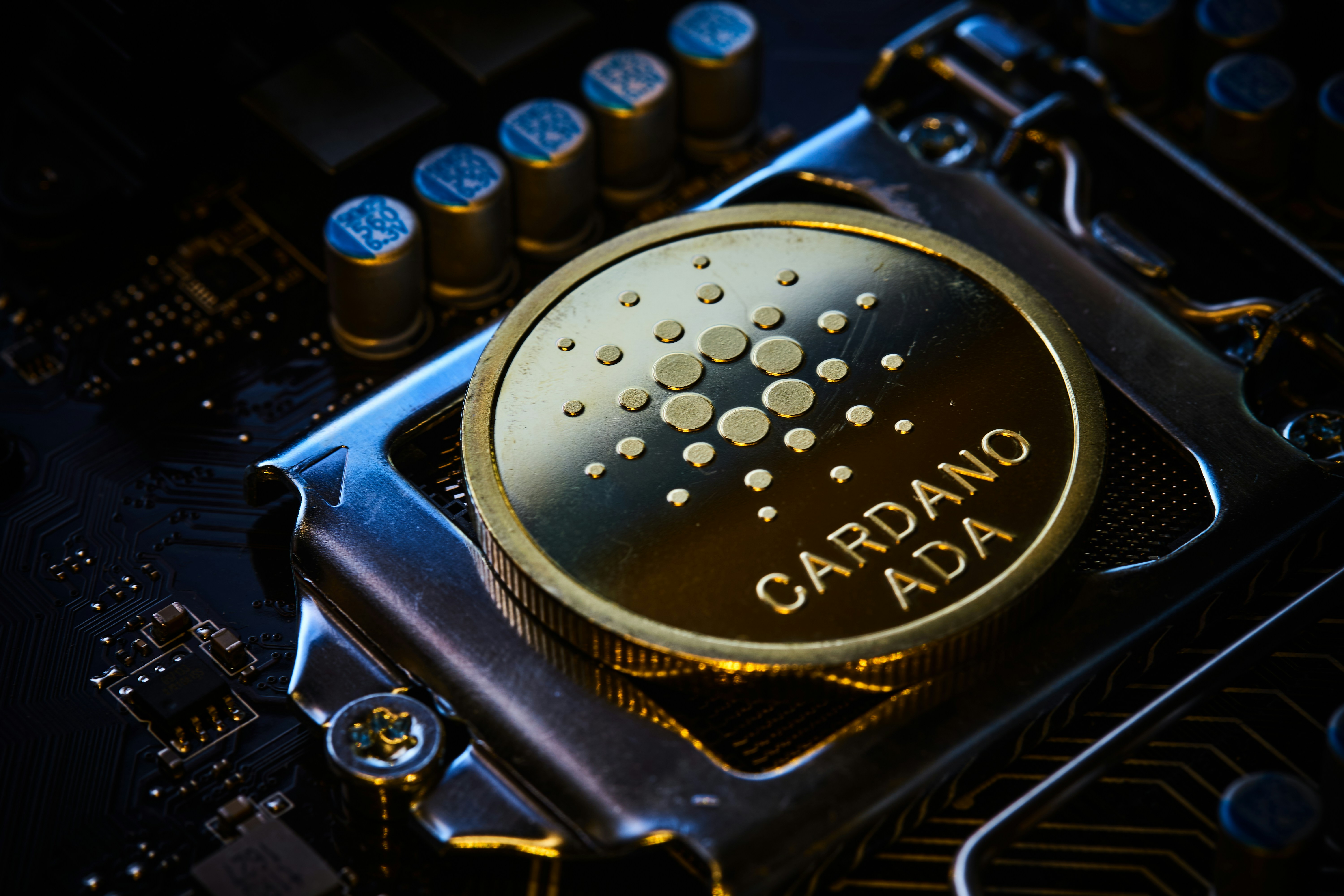 Best Altcoins to Watch in 2026 Top Cryptocurrencies Beyond Bitcoin